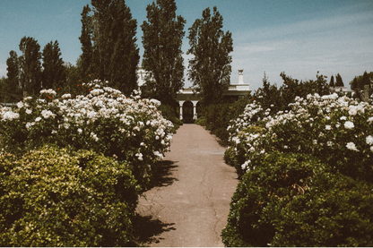 Garden Pathway